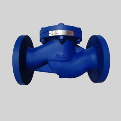 Фотография товара - Клапан обратный подъемный фланцевый BENARMO 019 DN25 PN16