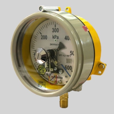 Фотография товара 1 Манометр электроконтактный ДМ2005ф Сг 1Exd исп.V 0- 0,06 МПа кт.1,5 d160 IP54 М20х1,5 РШ