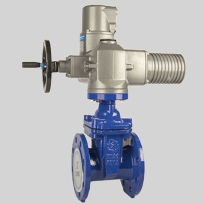 Фотография товара - Задвижка РАШВОРК 105-040-16