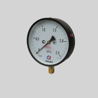 Купить Манометр давления технический показывающий ТМ 610Р 25 кгс/см2 1 ...