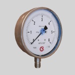 Фотография товара 1 Манометр виброустойчивый коррозионностойкий ТМ-621Р.00(0-0,6МРа)М20х1.5.1,0